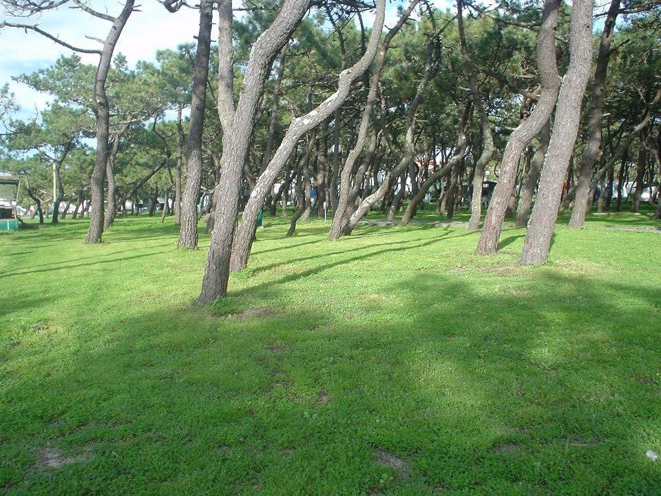 Parque De Campismo Da Praia Da Barra Gafanha da Nazaré Exterior photo